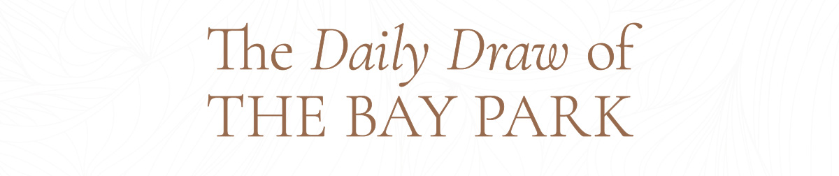 The Daily Draw of The Bay Park
